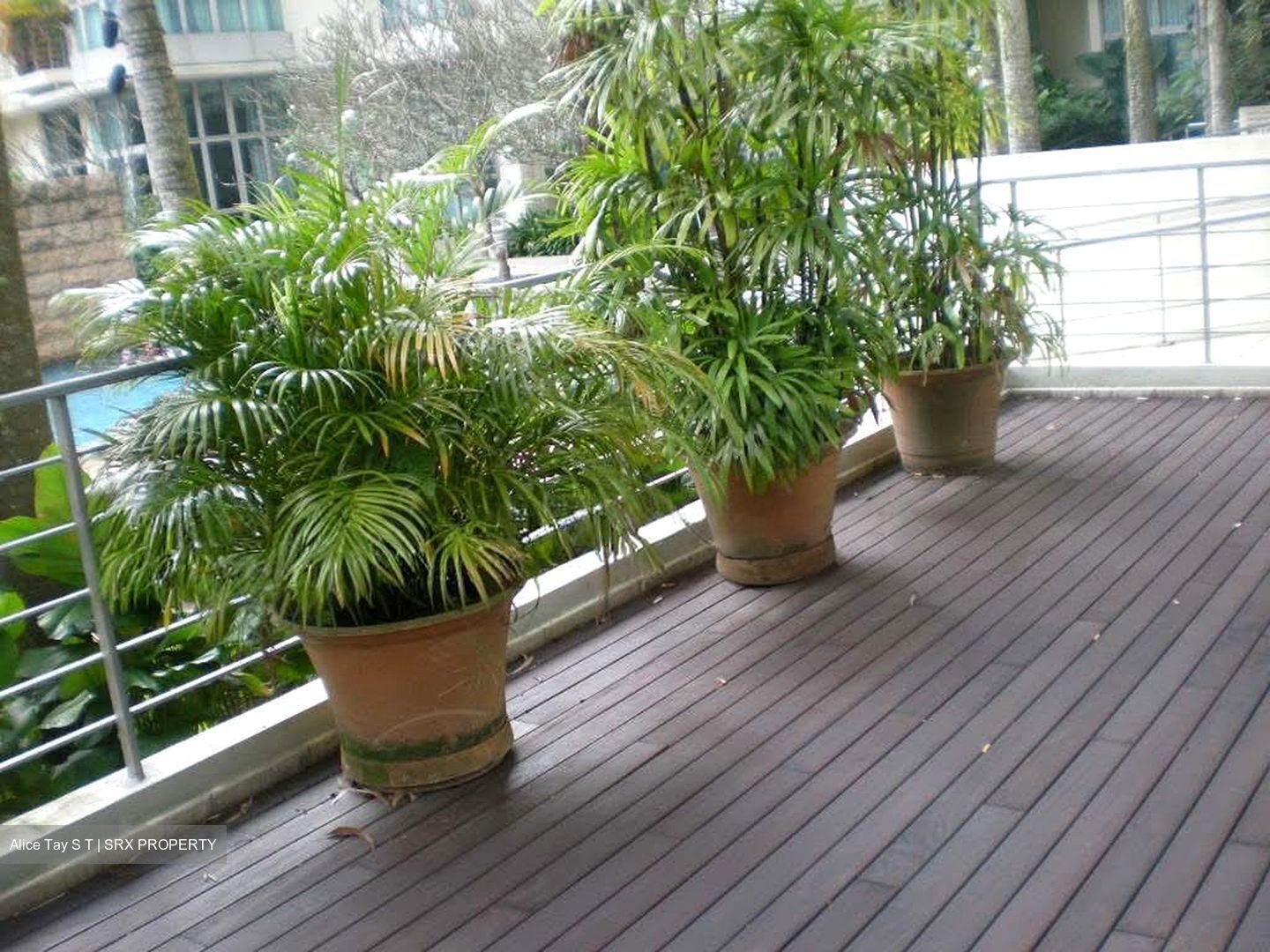The Equatorial (D10), Condominium #599723961